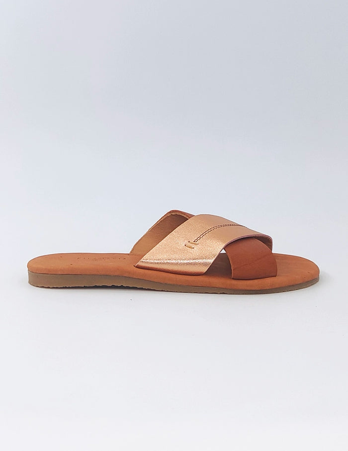 NAI - CAMEL COMBO