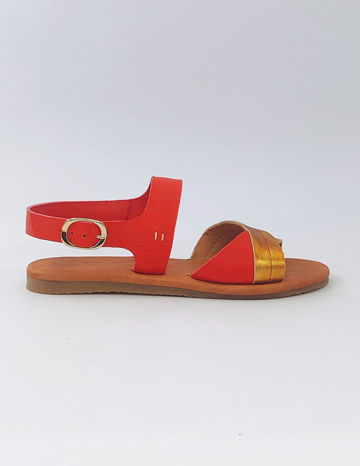 TANIA - CORAL COMBO